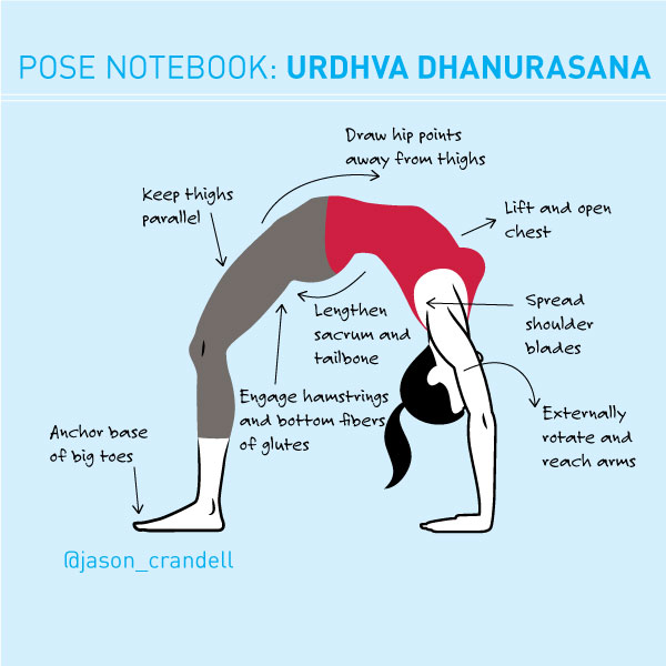 urdhva_dhanurasana_tutorial-image.jpg
